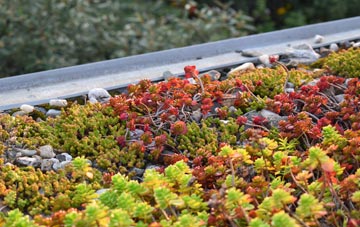 the cost of Gerrards Bromley green roof installation