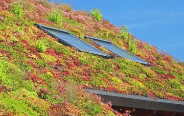 Gerrards Bromley living roof systems