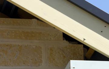 soffit repair Gerrards Bromley