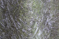 Gerrards Bromley fibreglass roof work